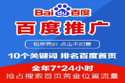 行业领先的SEM投放效果案例解析